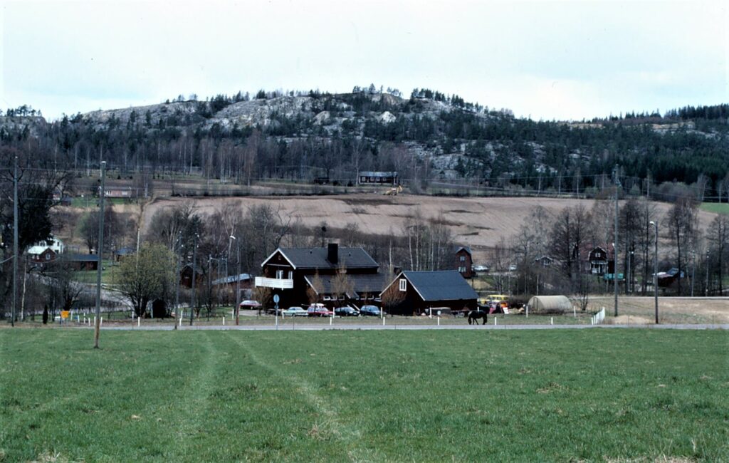 Fröskog 1991 a (2)